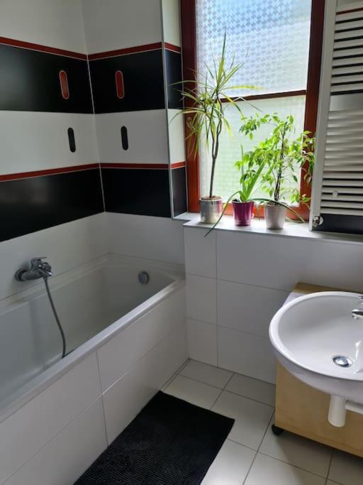 Comfortable Apartment! Praga Esterno foto